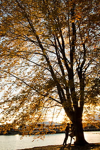 man and woman standing beside tree thumbnail
