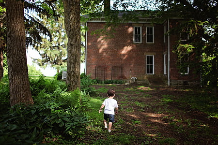 boy wearing white crew-neck t-shirt standing near tree thumbnail