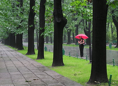 woman carrying umbrella standing on street thumbnail