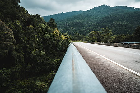 gray guardrail on road near forest thumbnail