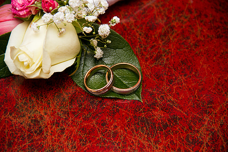 two silver-colored rings thumbnail