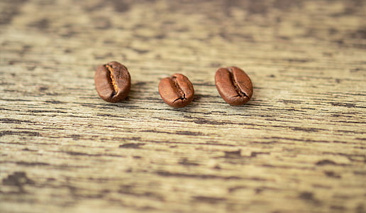 three coffee beans thumbnail