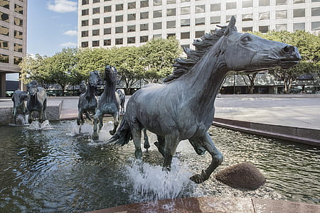 photo of black horse statue near building thumbnail