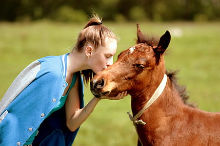 woman kissing horse on face thumbnail