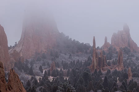 rocky mountains with green leafed trees below during daytime thumbnail
