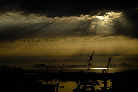 silhouette photo of crane near body of water thumbnail