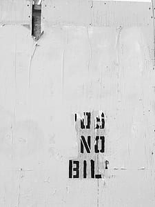wall, white, paint, peeling thumbnail