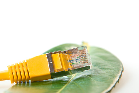 yellow LAN port above green leaf thumbnail