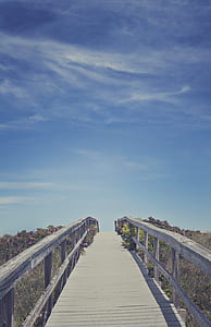 gray bridge surrounded with flowers thumbnail
