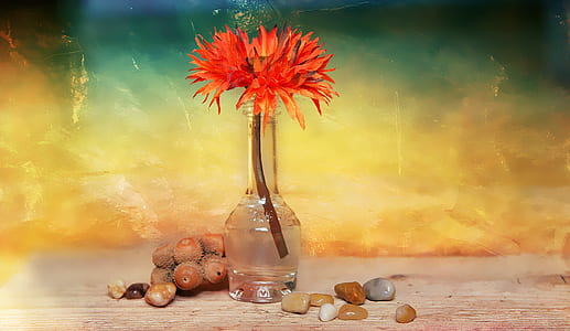 orange flower in glass bottle thumbnail