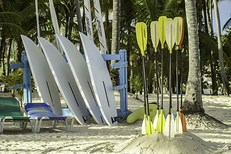 four white paddle boards thumbnail