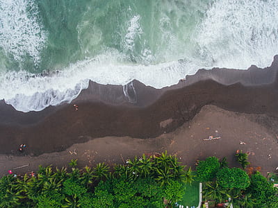 bird's eye view of seashore thumbnail