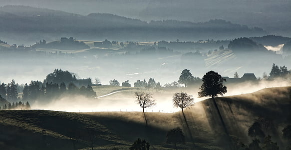 silhouette of trees near mountain under white clouds at daytime thumbnail