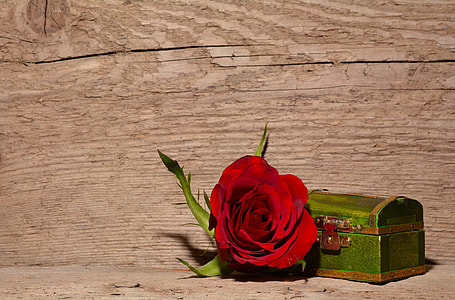 red rose near green treasure chest scale model thumbnail