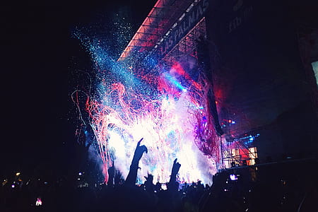 people partying in a concert during daytime thumbnail