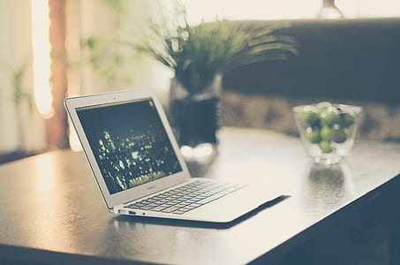 MacBook Air on table beside green plant thumbnail