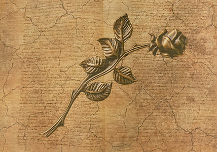 brown rose artwork thumbnail
