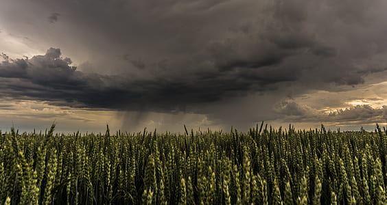 landscape, nature, sky, clouds thumbnail