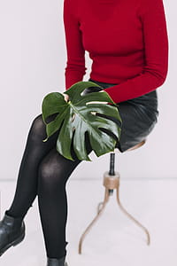 Woman in Red Sweater and Black Pants Holding Green Leaf thumbnail
