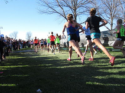 Runners, Cross-Country, Race, cross-country, race, finish line, running thumbnail