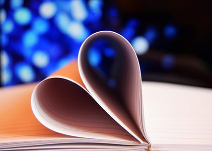white and orange book thumbnail