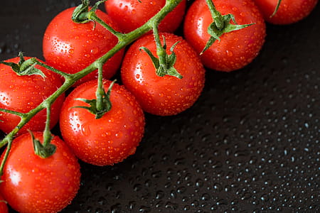 Perfect Red Wet Tomatoes with Room For Text thumbnail