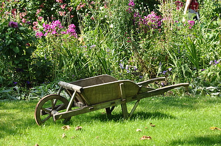 brown wheelbarrow in the middle of green field thumbnail