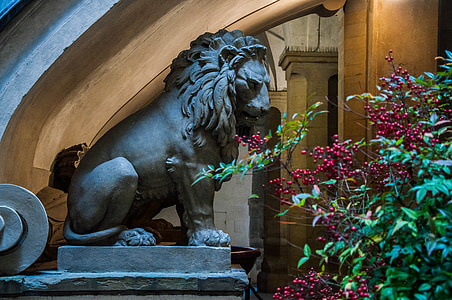 gray lion statue beside green plant thumbnail
