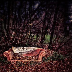 brown leather sofa surrounded by trees with withered leaves thumbnail