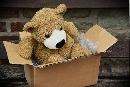 brown bear plush toy in box thumbnail
