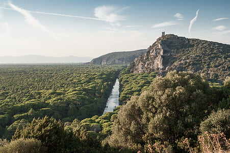 river between forest beside mountain thumbnail