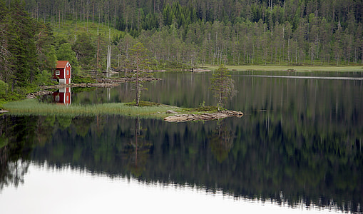 red house near body of water surrounded with trees thumbnail