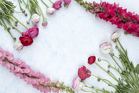 purple and white flowers on white surface thumbnail