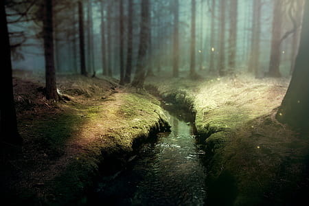 river between trees at daytime thumbnail