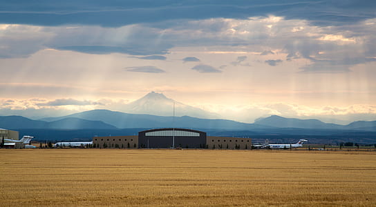 black and gray concrete structure near wheat field thumbnail
