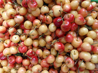 Bunch of red and yellow cherry at a farmers market in San Francisco thumbnail