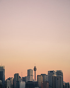 landscape photography of high rise buildings during golden hour thumbnail