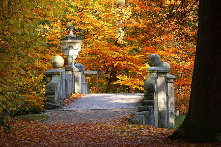 gray concrete bridge near orange leafed trees thumbnail