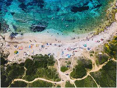 group of people on beach thumbnail