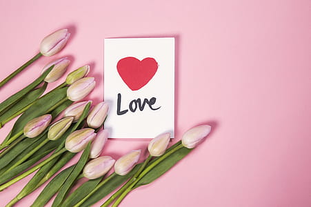 Tulip Flowers With Love Card Photo thumbnail