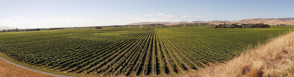 green field under blue and white sky thumbnail
