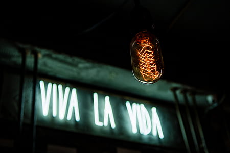 Viva La Vida neon light signage thumbnail