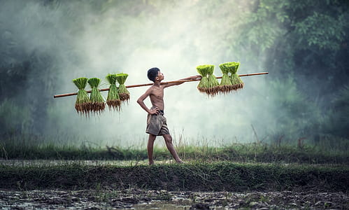 man holding brown stick thumbnail