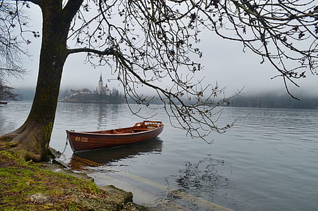 red jun boat on body of water near bear tree thumbnail