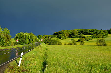 green lawn under sunny sky thumbnail