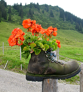 orange flowers placed on brown leather boot thumbnail