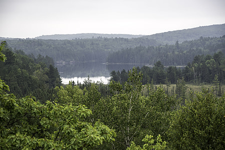 Lake landscape on a foggy day in Algonquin Provincial Park, Ontario thumbnail