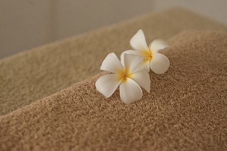 two white and yellow flowers on brown textile thumbnail