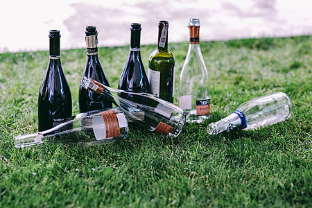 Miscellaneous items in a sunny garden thumbnail