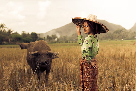 woman standing beside black water buffalo thumbnail